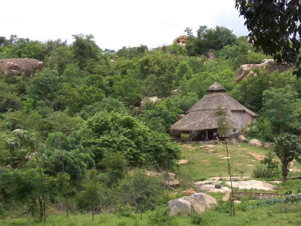 Photo of White Elephant Guesthouse, Anjanhalli, Karnataka, India by Anshul Singh
