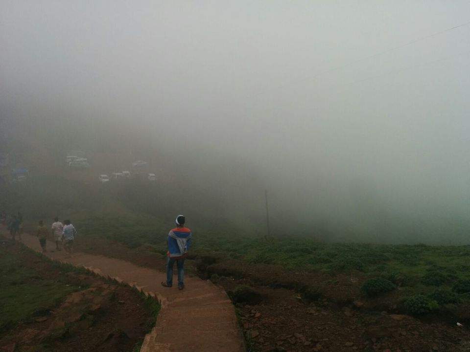 Photo of Road Trip to the City of Coffee - Chikmagalur by Anshul Singh