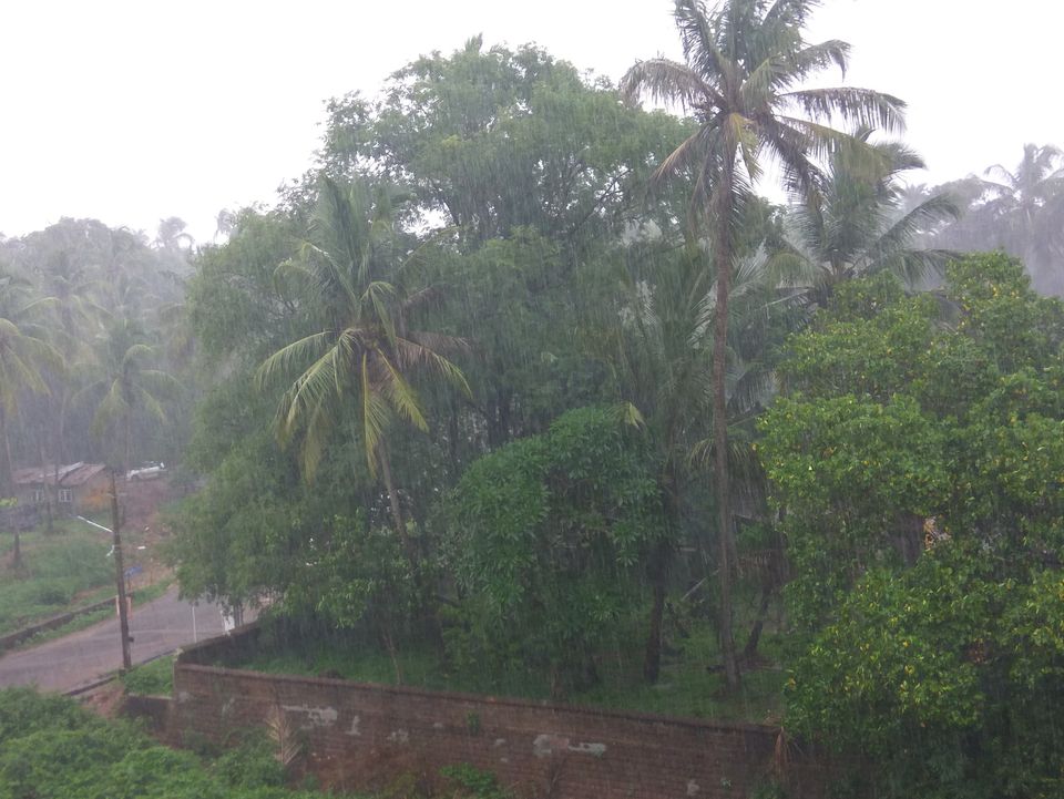 Photo of Dil Chahta Hai! Bangalore to Goa by Anshul Singh