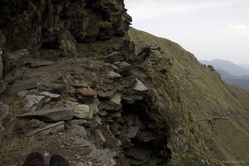 Photo of Solo Hiking in a Forest of Uttarakhand 2/6 by Roshni Borawke