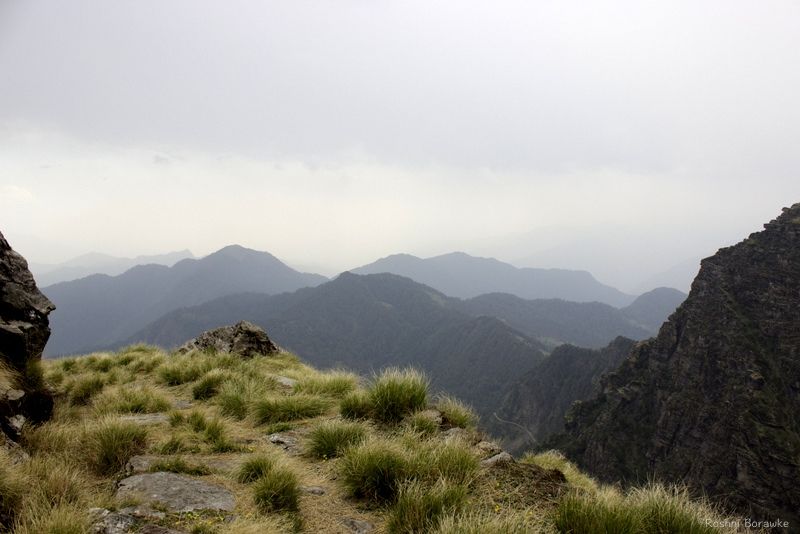 Photo of Solo Hiking in a Forest of Uttarakhand 3/6 by Roshni Borawke