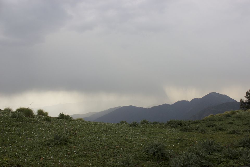 Photo of Solo Hiking in a Forest of Uttarakhand 6/6 by Roshni Borawke