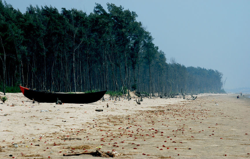 Photo of 5 places near Kolkata to visit over the weekend 8/11 by The Broke Adventurer