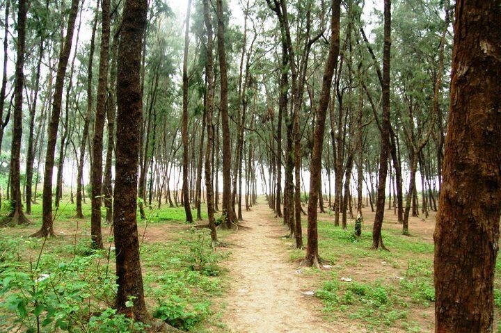 Photo of 5 places near Kolkata to visit over the weekend 9/11 by The Broke Adventurer