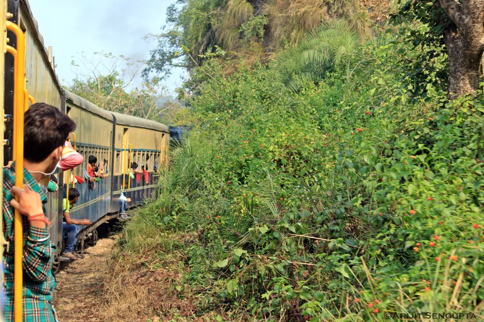 Photo of Palampur - The most underrated place of Himachal! 3/23 by The Broke Adventurer