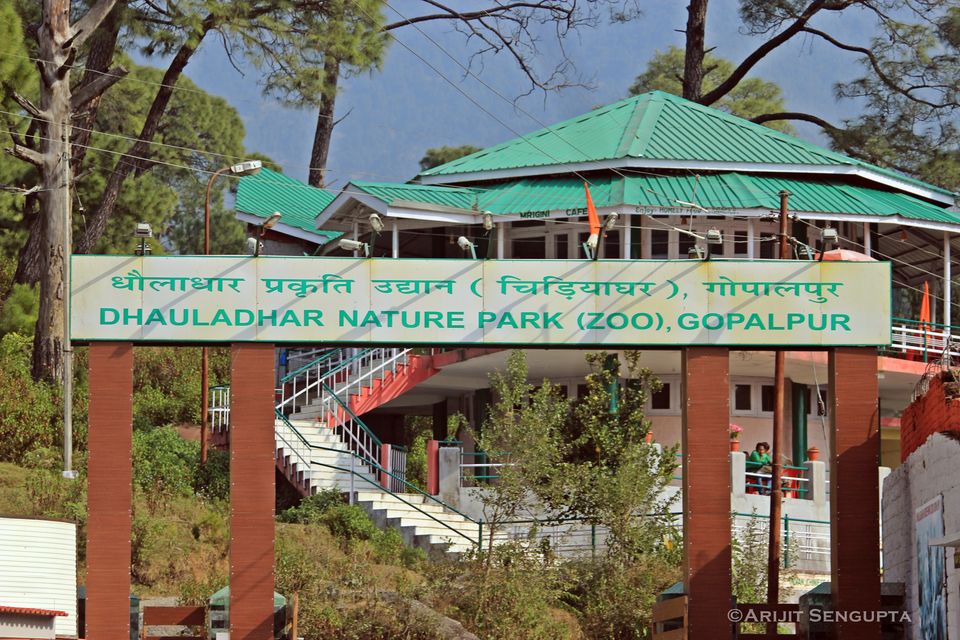Photo of Palampur - The most underrated place of Himachal! 5/23 by The Broke Adventurer