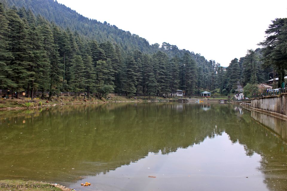 Photo of Palampur - The most underrated place of Himachal! 9/23 by The Broke Adventurer