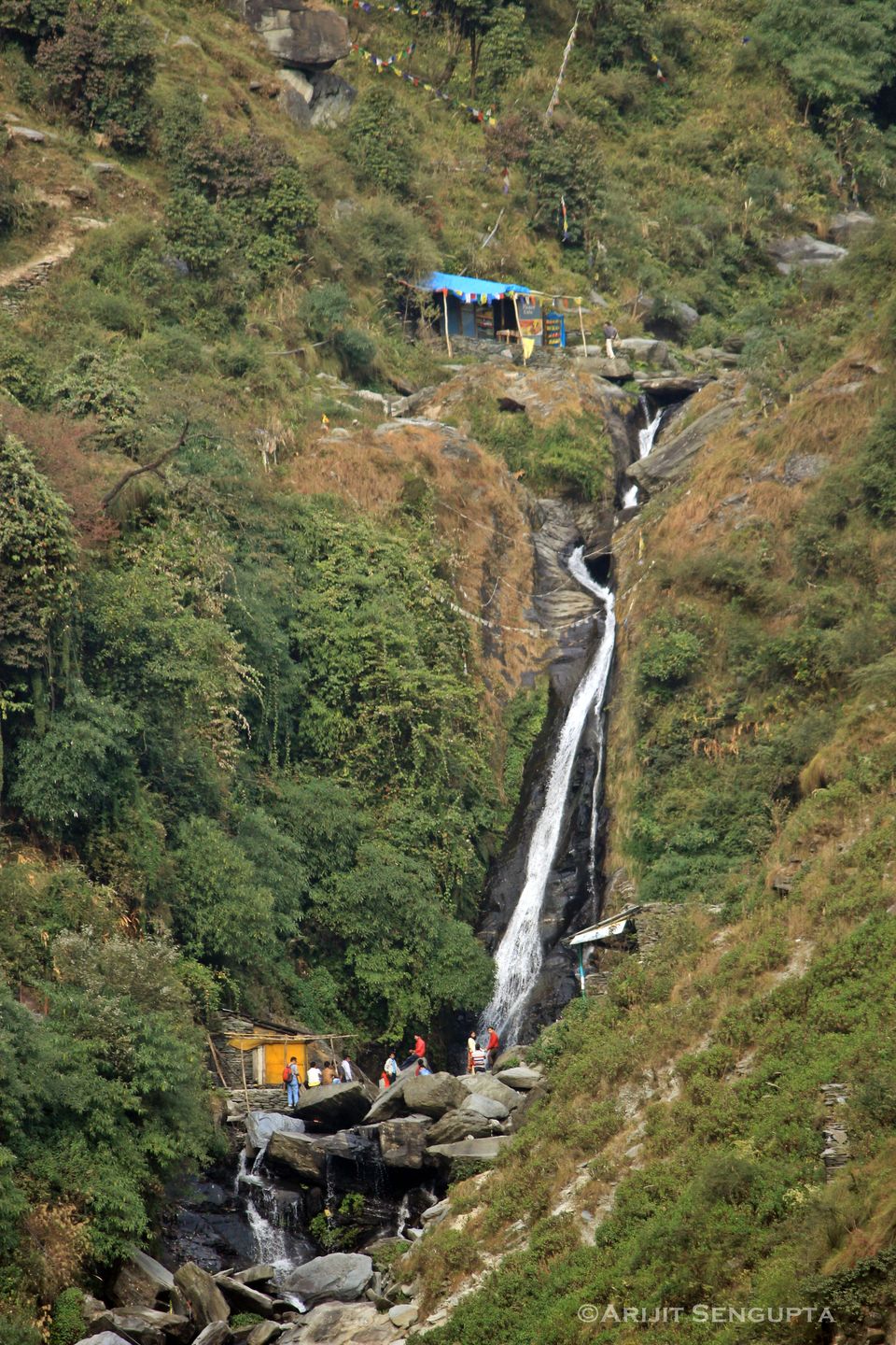 Photo of Palampur - The most underrated place of Himachal! 11/23 by The Broke Adventurer