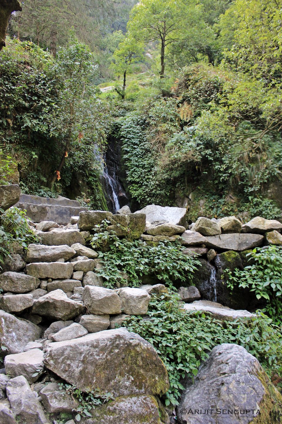 Photo of Palampur - The most underrated place of Himachal! 19/23 by The Broke Adventurer