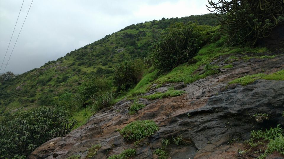 Photo of Into the cold breeze valleys of Talegaon. by Tanvi Rajadhyaksha