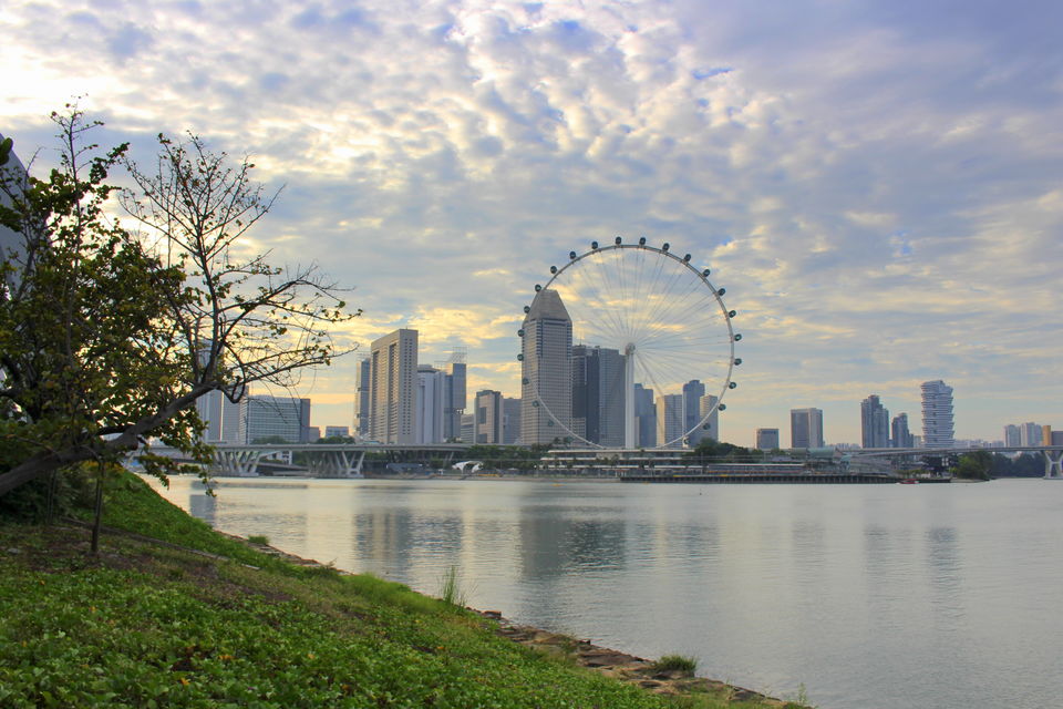 Photo of Gardens by the Bay Singapore by Tripti Pathak