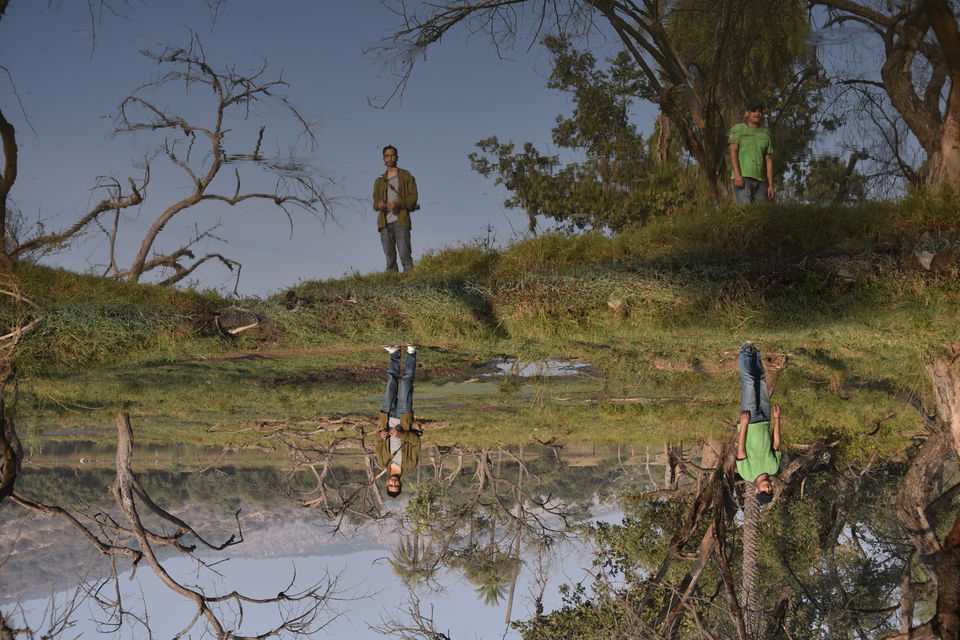 Photo of Sariska Wild Life Reserve - Alwar, Rajashtan 7/8 by Sachin Verma