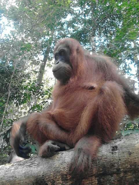Photo of Lets go explore indonesia by Man Togie