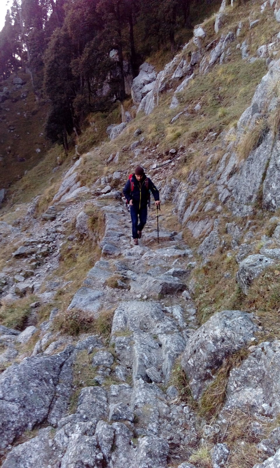 Photo of Triund- The Nirvana Land 7/9 by gauri chona