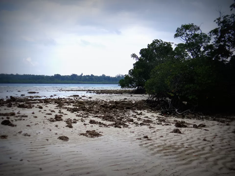 Photo of Havelock Island, Havelock Island by Wanderbubble