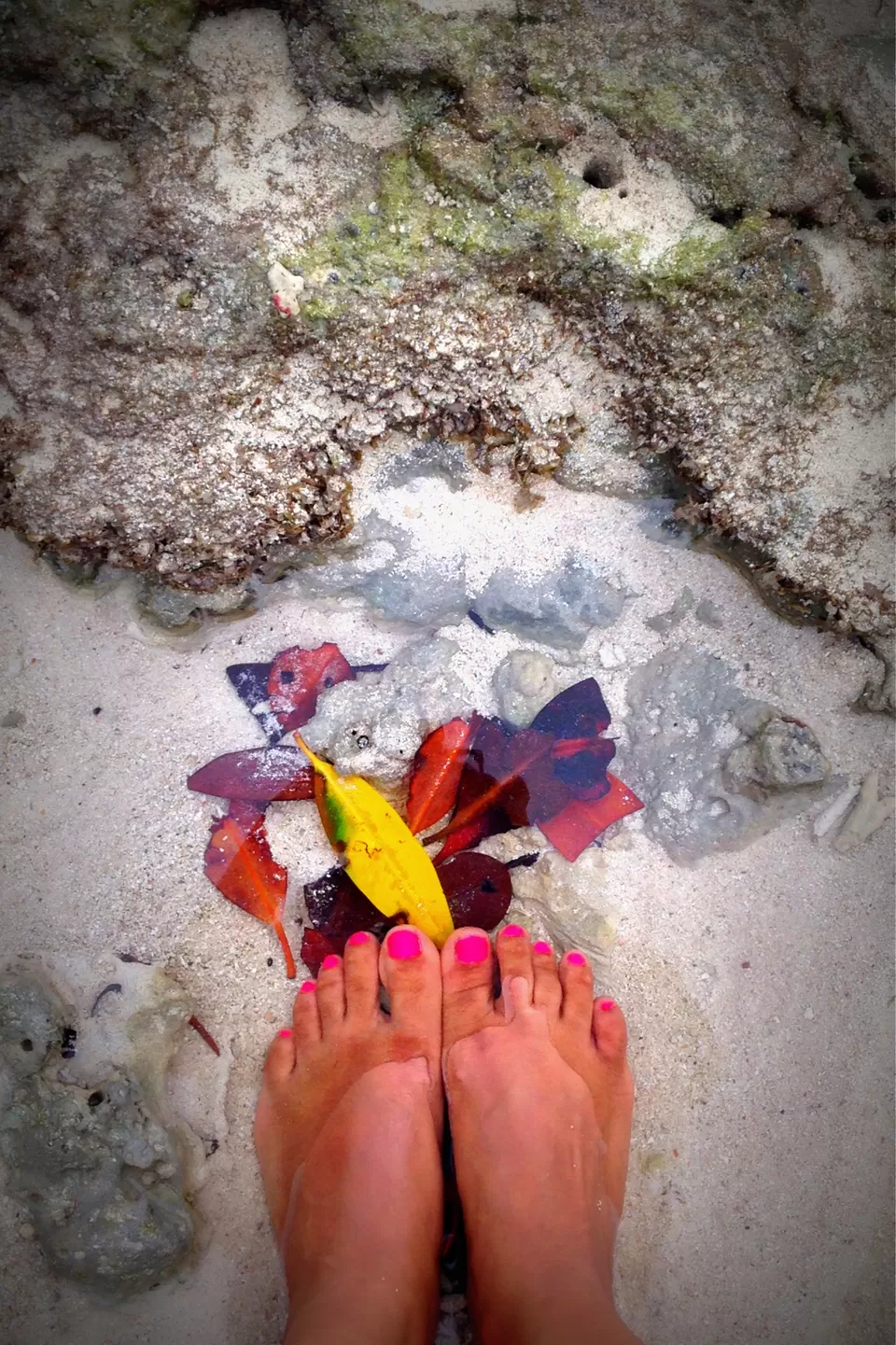 Photo of Havelock Island, Havelock Island by Wanderbubble