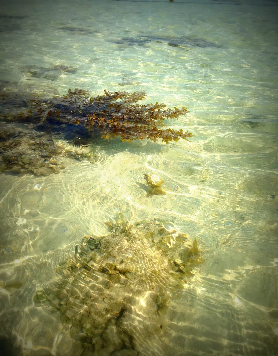 Photo of Havelock Island, Havelock Island by Wanderbubble
