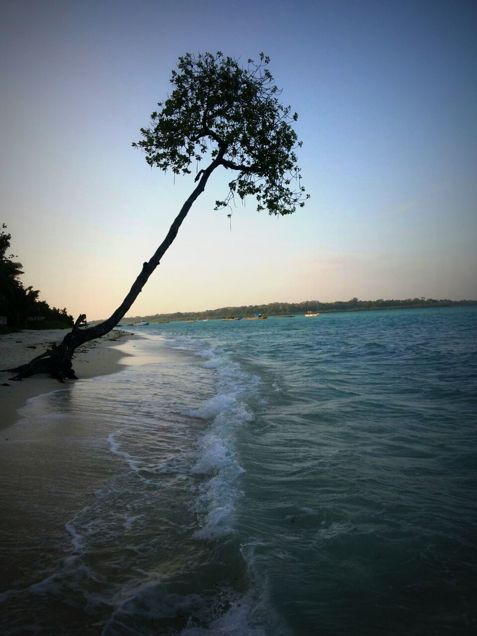 Photo of Havelock-ed 11/16 by Wanderbubble