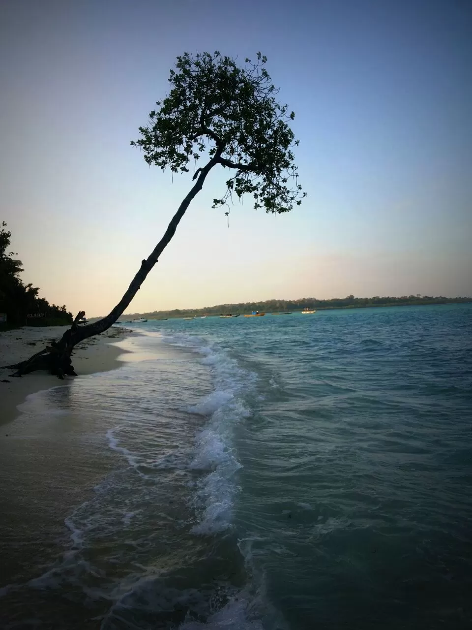 Photo of Havelock Island, Havelock Island by Wanderbubble