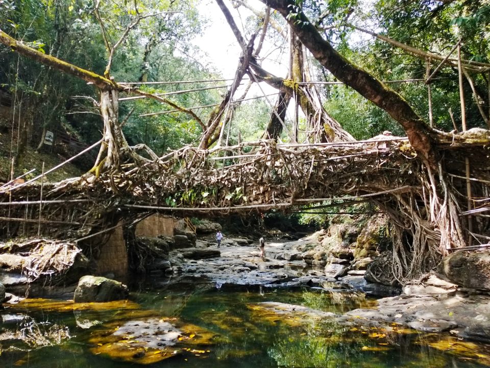 Photo of Mawlynnong, Meghalaya, India by Santhosh Shasthri