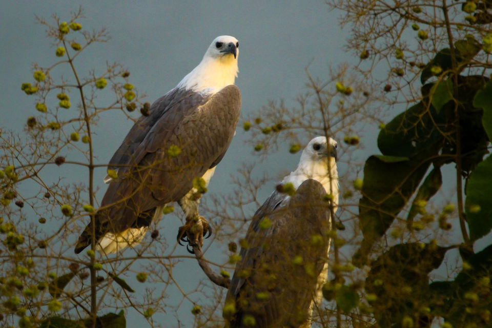 Photo of Karwar, Karnataka, India by Santhosh Shasthri