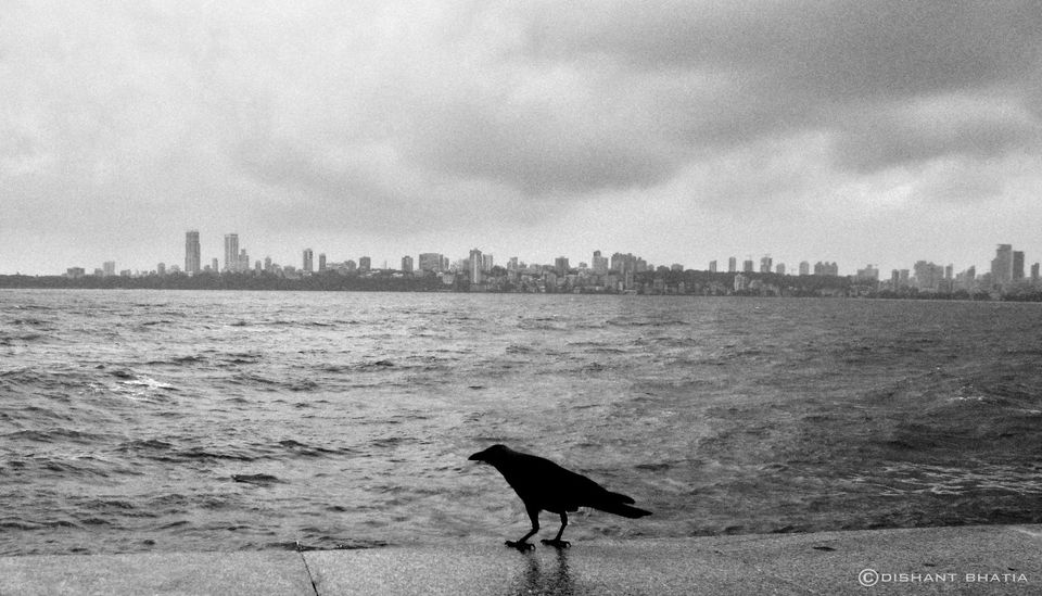 Photo of Eat Pray Love - Eat by Dishant Bhatia
