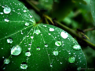 Photo of Eat Pray Love - Pray by Dishant Bhatia
