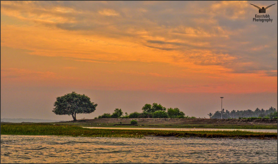 Photo of Discovering self at Chilika lake, Konark 8/21 by Kaustubh