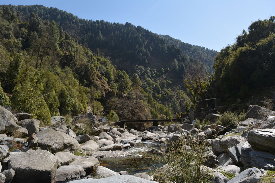 Photo of Mellow in McLeodganj by Prerna Barua