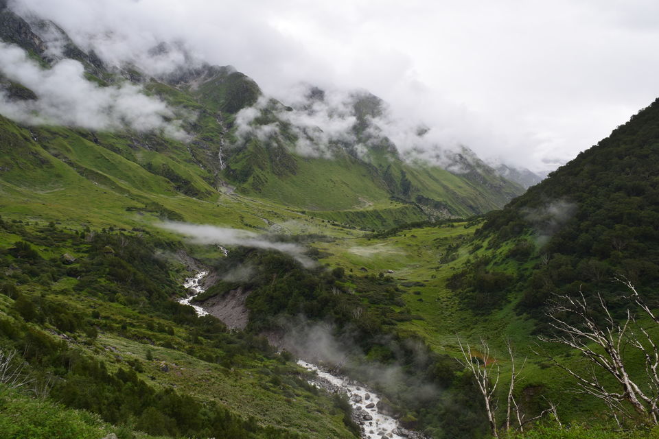 Photo of How I found myself on the other side of the Valley of Flowers in just ₹2K! #offbeatuttarakhand by Manu Mohan