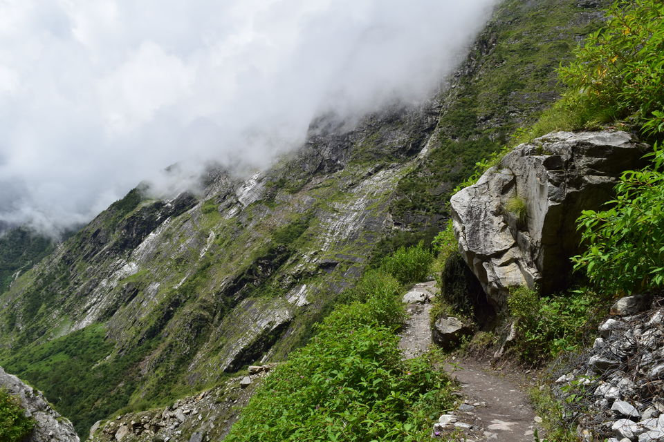 Photo of Ghangaria, Uttarakhand, India by Manu Mohan