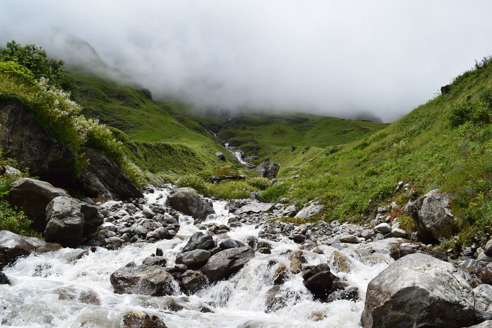 Photo of Valley of Flowers National Park, Uttarakhand, India by Manu Mohan