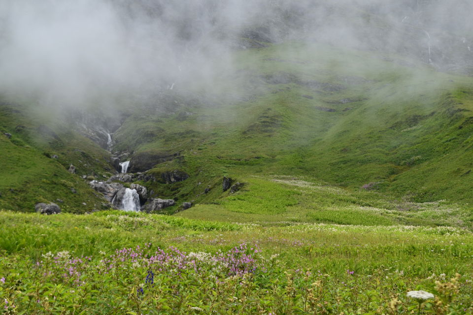 Photo of Valley of Flowers National Park, Uttarakhand, India by Manu Mohan