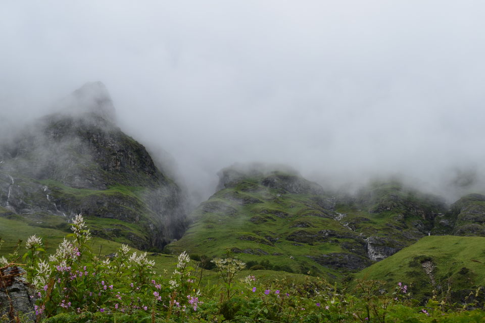 Photo of Valley of Flowers National Park, Uttarakhand, India by Manu Mohan