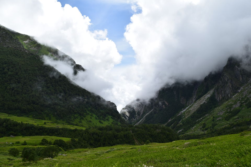 Photo of Valley of Flowers National Park, Uttarakhand, India by Manu Mohan