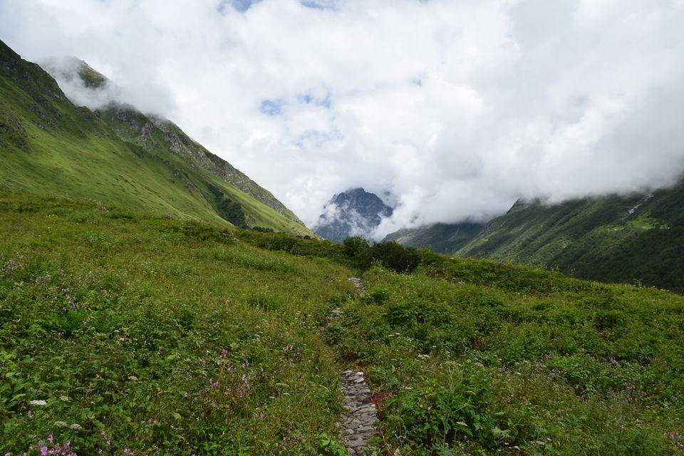 Photo of Valley of Flowers National Park, Uttarakhand, India by Manu Mohan