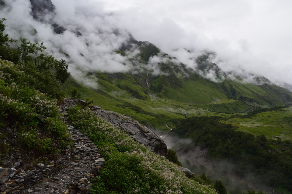 Photo of Valley of Flowers National Park, Uttarakhand, India by Manu Mohan