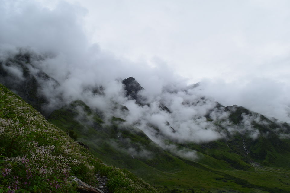 Photo of Valley of Flowers National Park, Uttarakhand, India by Manu Mohan
