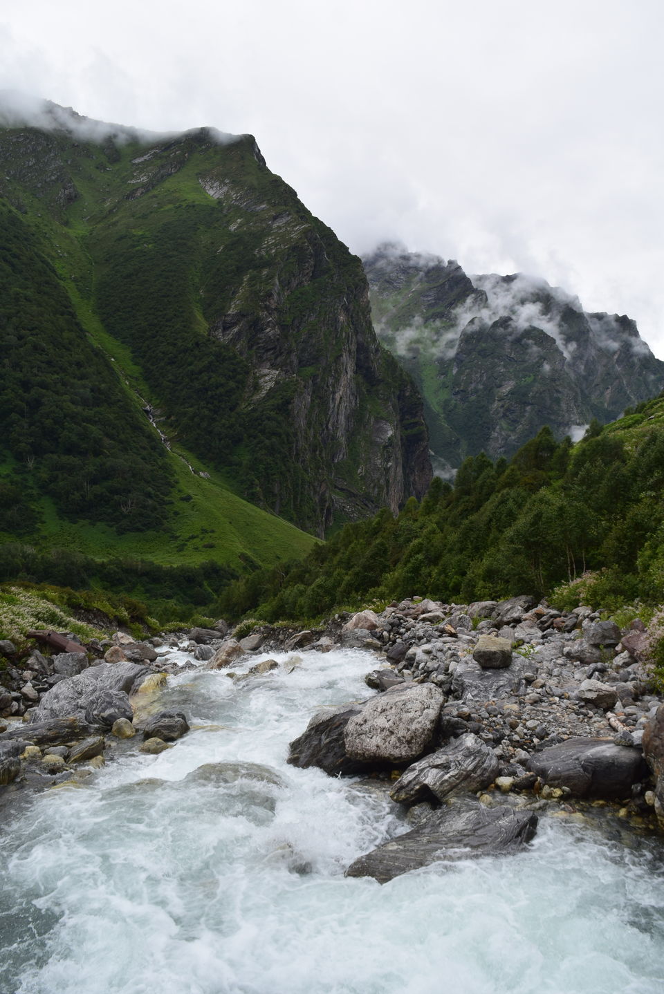 Photo of Valley of Flowers National Park, Uttarakhand, India by Manu Mohan