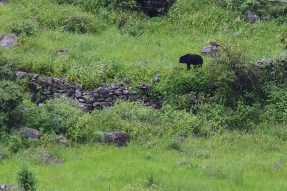 Photo of How I found myself on the other side of the Valley of Flowers in just ₹2K! #offbeatuttarakhand by Manu Mohan