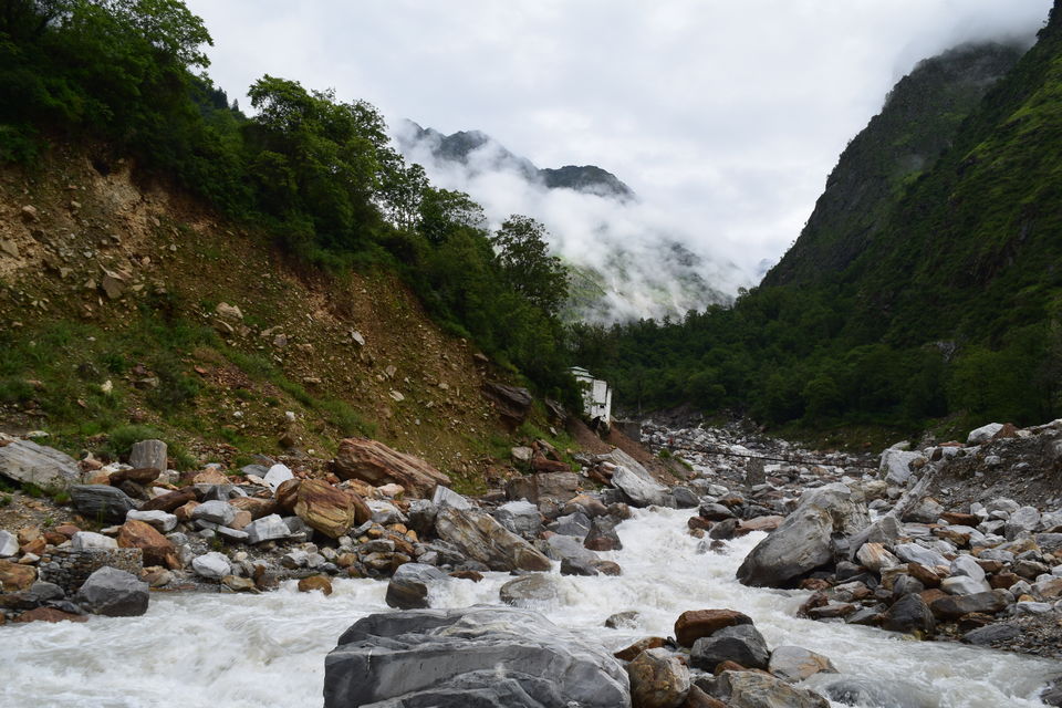 Photo of How I found myself on the other side of the Valley of Flowers in just ₹2K! #offbeatuttarakhand by Manu Mohan