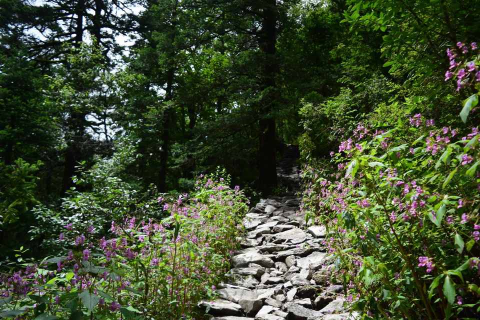 Photo of How I found myself on the other side of the Valley of Flowers in just ₹2K! #offbeatuttarakhand by Manu Mohan