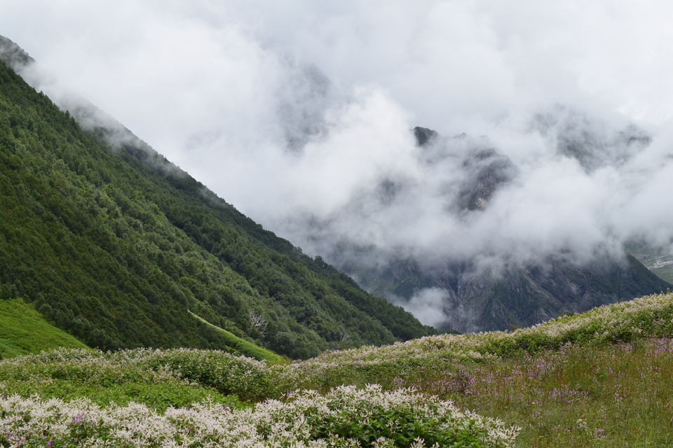 Photo of How I found myself on the other side of the Valley of Flowers in just ₹2K! #offbeatuttarakhand by Manu Mohan