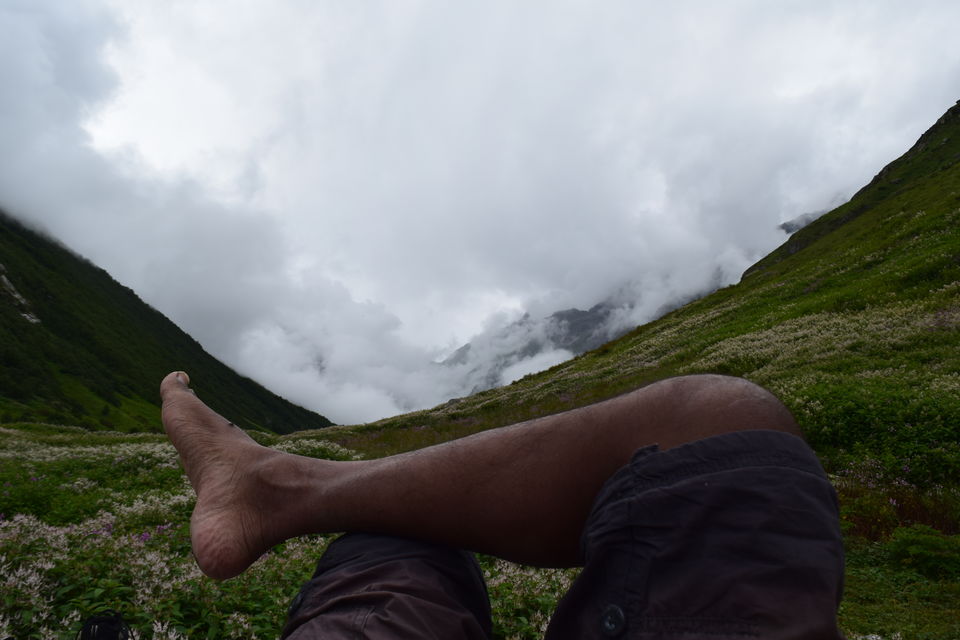 Photo of How I found myself on the other side of the Valley of Flowers in just ₹2K! #offbeatuttarakhand by Manu Mohan