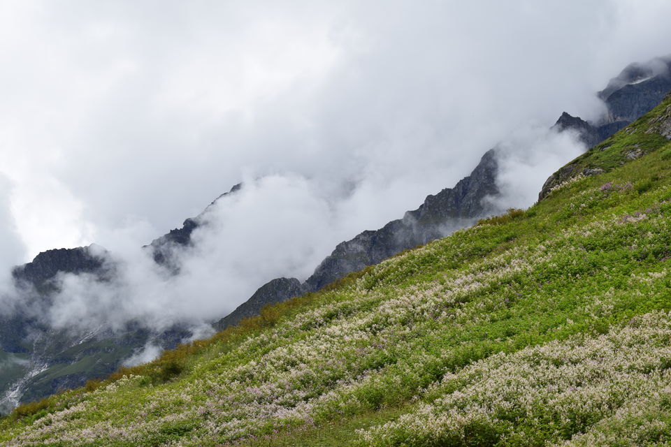 Photo of How I found myself on the other side of the Valley of Flowers in just ₹2K! #offbeatuttarakhand by Manu Mohan
