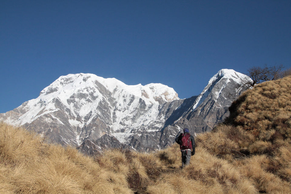 Photo of Nepal Holiday trek !! 2/10 by Rishi Aryal