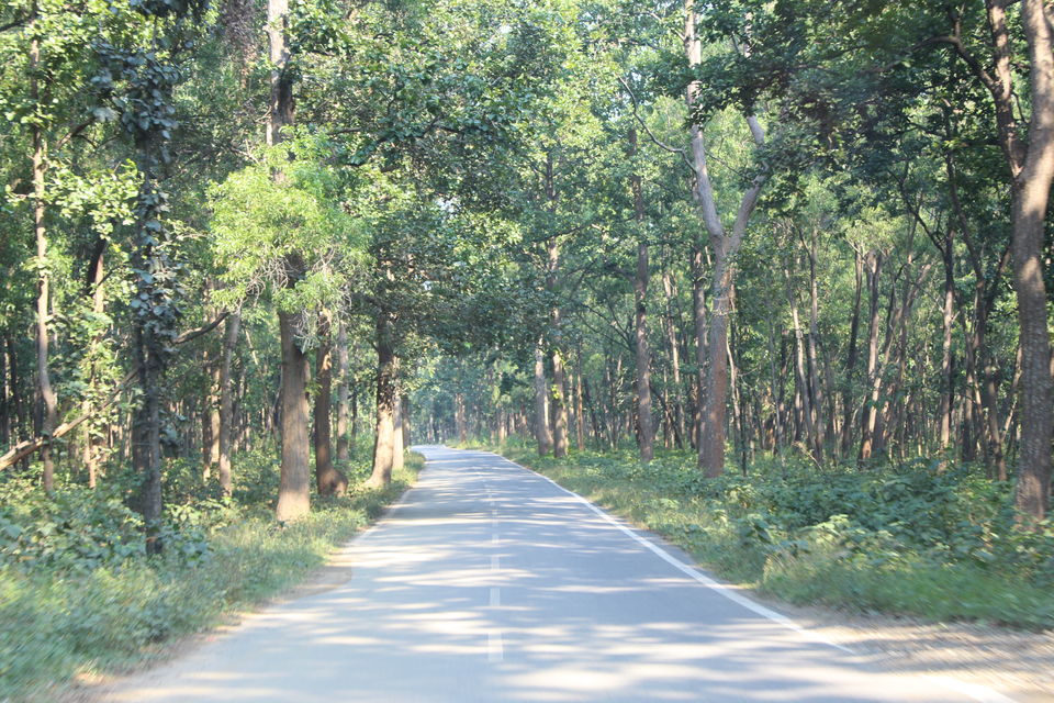 Photo of RANCHI 5/16 by Rahul Singh Rajput