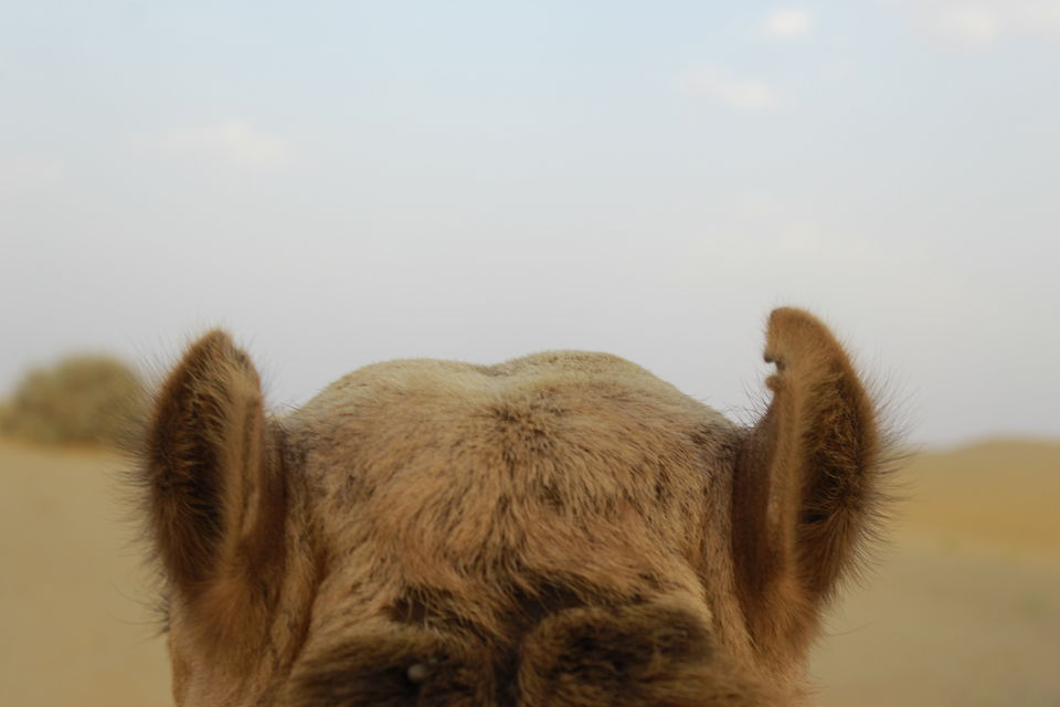 Photo of JAISALMER IN SUMMERS(Off-Season) 11/40 by Rahul Singh Rajput