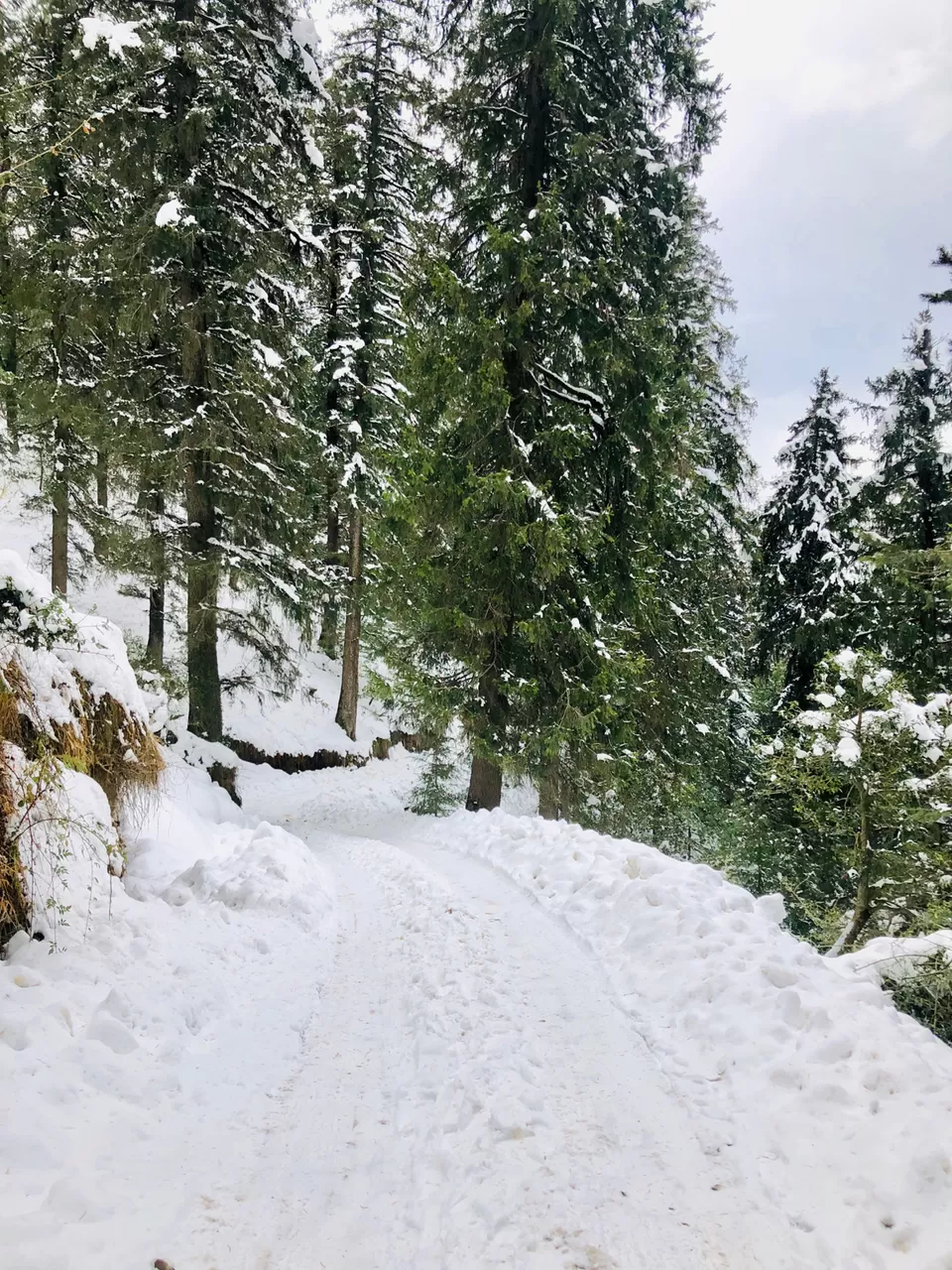 Photo of Himachal Pradesh by Anshika 