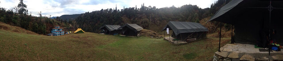 Photo of Chopta, Uttarakhand, India by Anshika